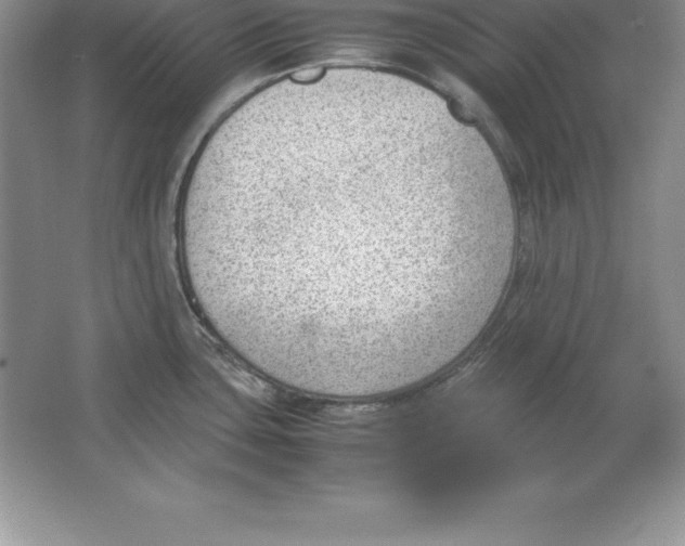 X0000064751435200603031722