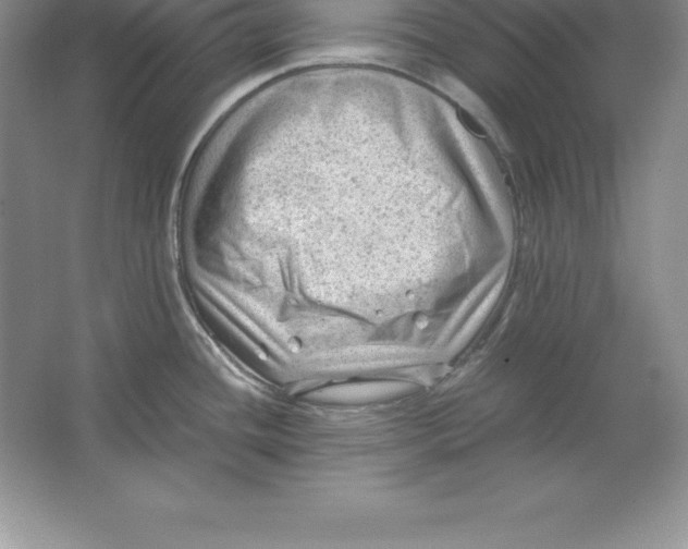 X0000064751436200603031722