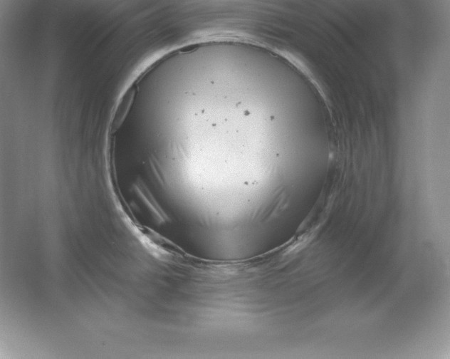 X0000064751438200603031722