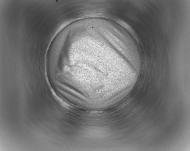 X0000064751439200603031722