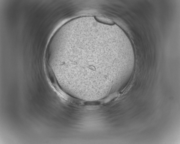 X0000064751440200603031722