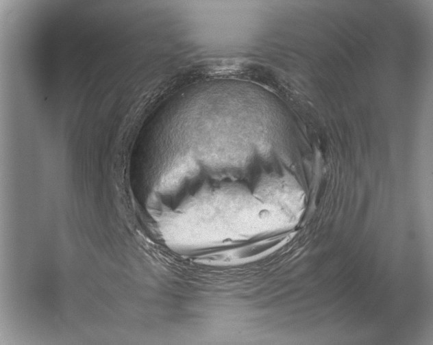 X0000064751441200603031721