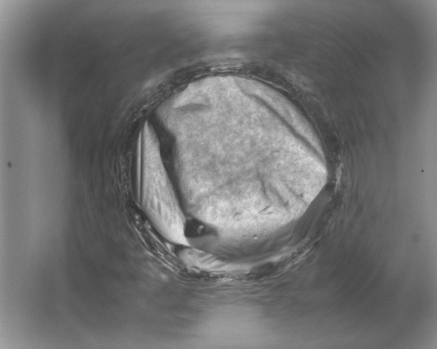 X0000064751445200603031721