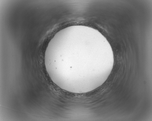 X0000064751447200603031721