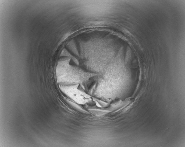 X0000064751449200603031721