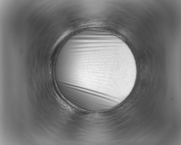 X0000064751450200603031721