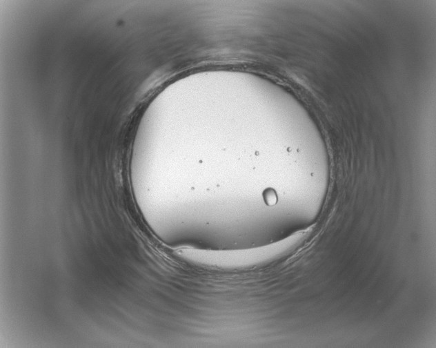 X0000064751451200603031721