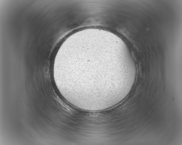 X0000064751452200603031721