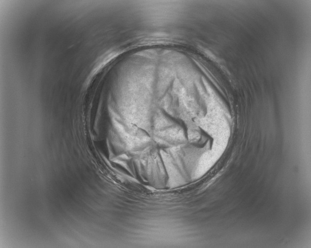 X0000064751453200603031721