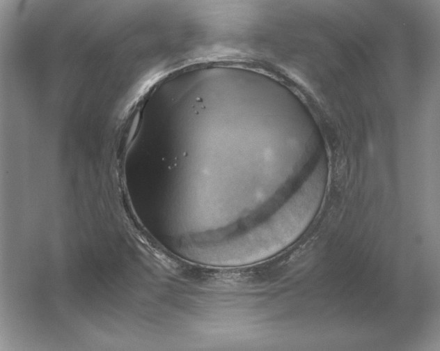 X0000064751455200603031721