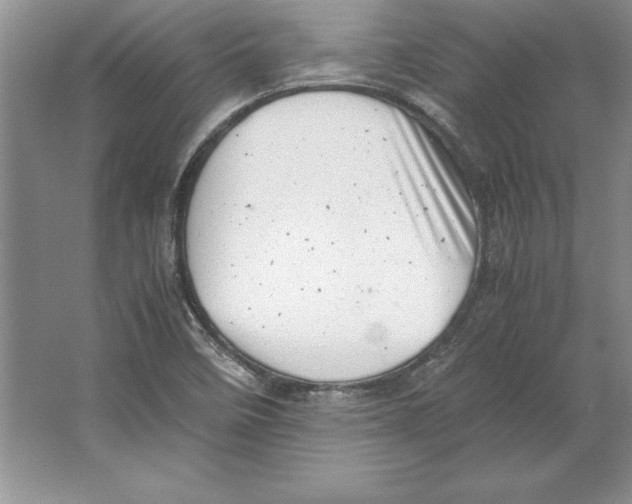 X0000064751458200603031721