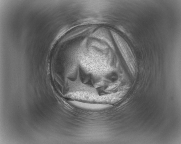 X0000064751459200603031721