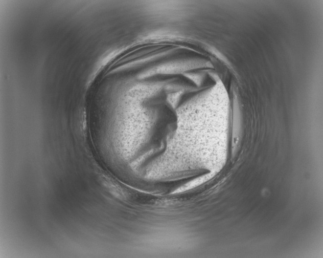 X0000064751461200603031721