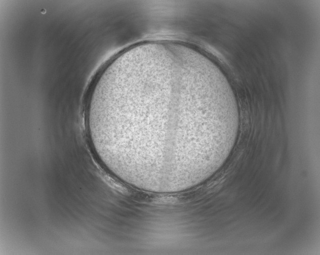 X0000064751462200603031721