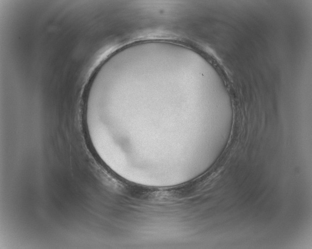 X0000064751463200603031721