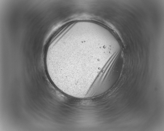 X0000064751464200603031721