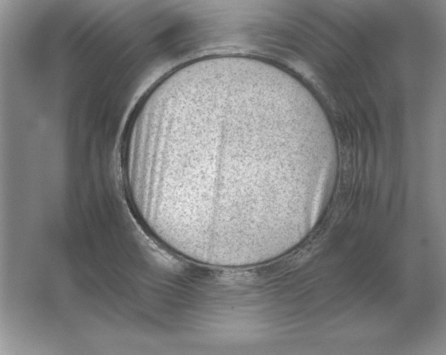 X0000064751466200603031721