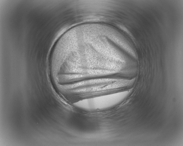 X0000064751467200603031721