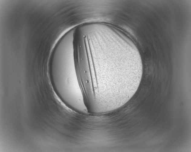 X0000064751468200603031721