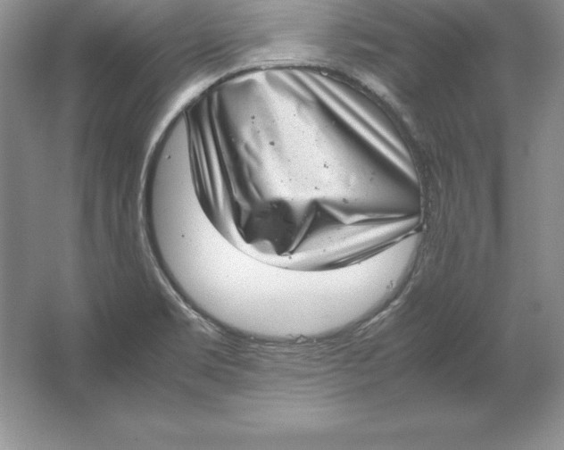 X0000064751469200603031721