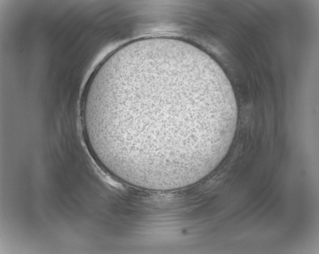 X0000064751470200603031721