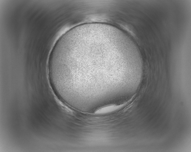 X0000064751471200603031721