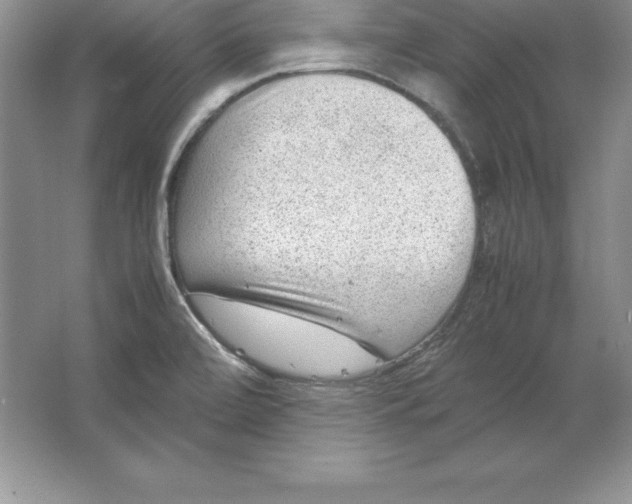 X0000064751472200603031721