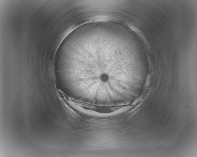 X0000064751473200603031721