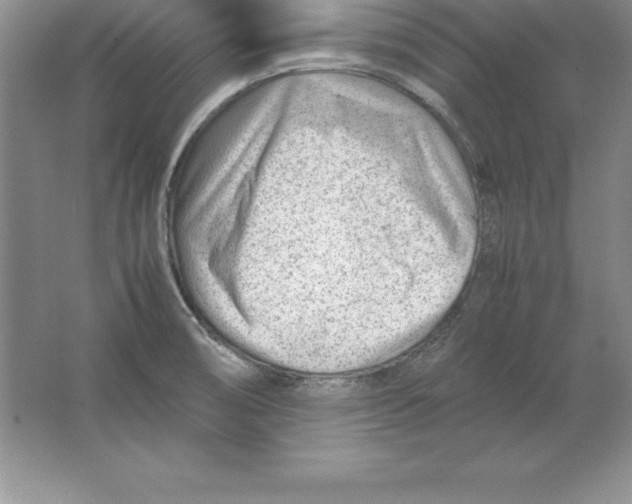 X0000064751474200603031721