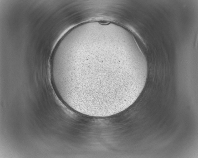 X0000064751476200603031720