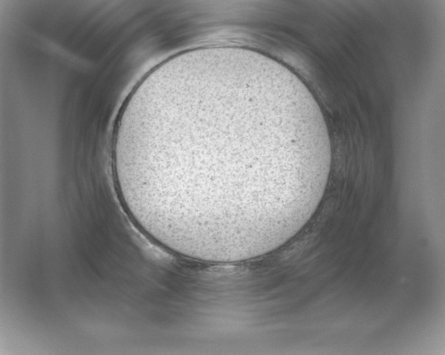 X0000064751478200603031720