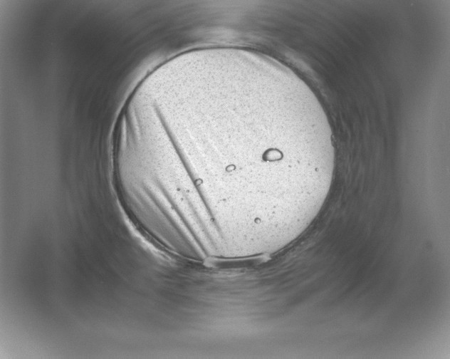 X0000064751479200603031720