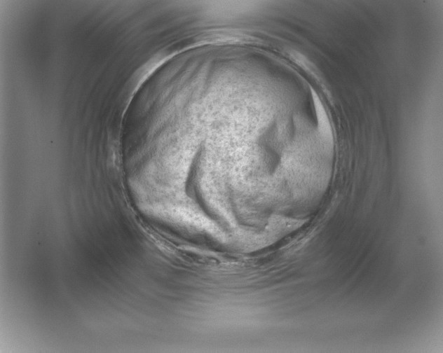 X0000064751481200603031720