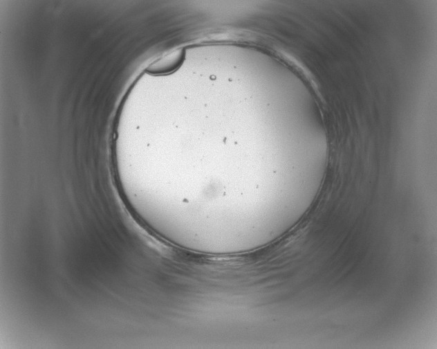 X0000064751483200603031720