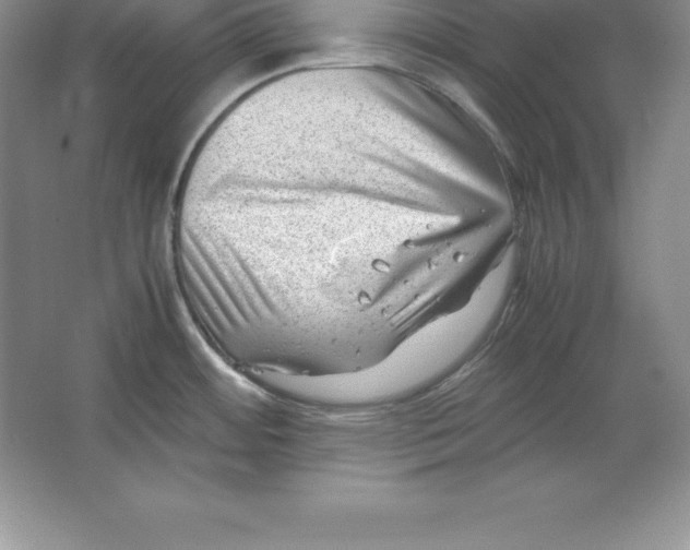 X0000064751484200603031720