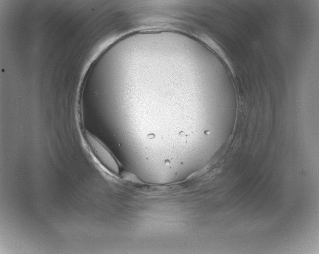 X0000064751485200603031720