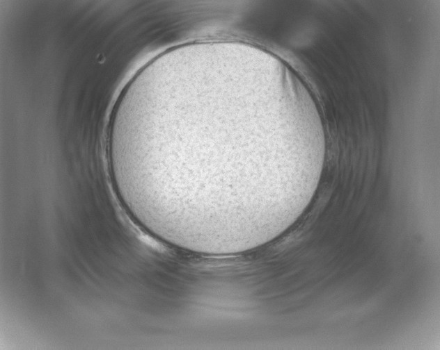 X0000064751486200603031720