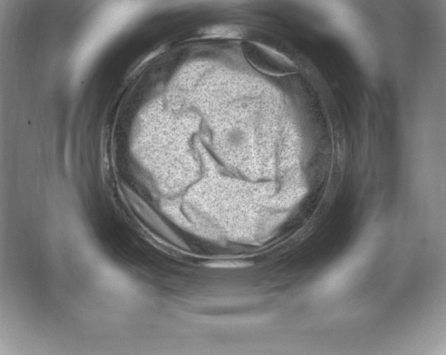 X0000064751487200603031720