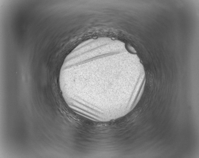 X0000064751489200603031719