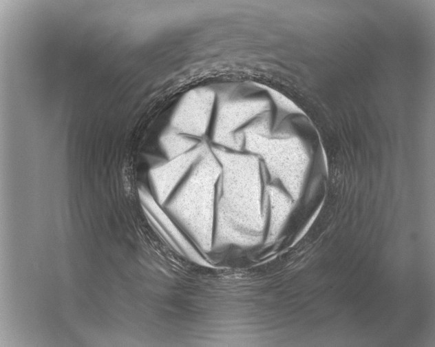 X0000064751490200603031719