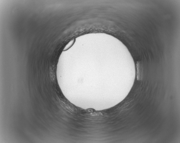 X0000064751491200603031720