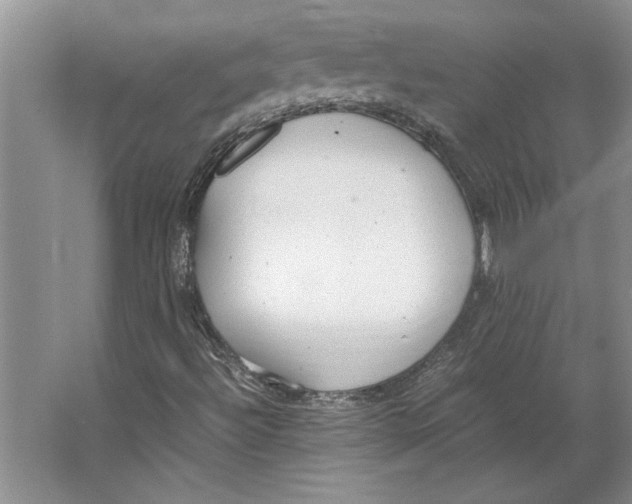 X0000064751492200603031720