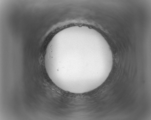 X0000064751495200603031720