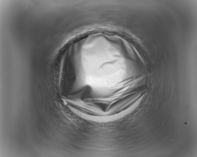 X0000064751496200603031720