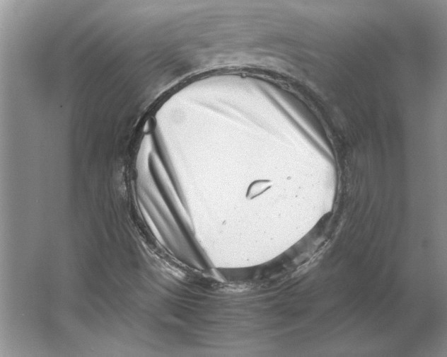 X0000064751497200603031720