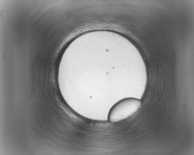 X0000064751498200603031720