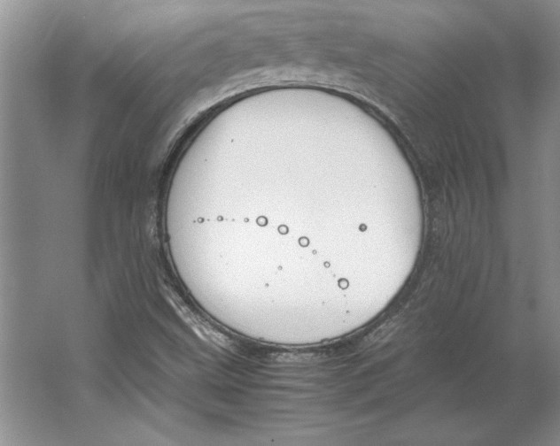 X0000064751499200603031720