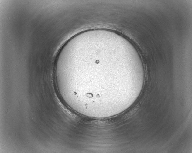 X0000064751500200603031720