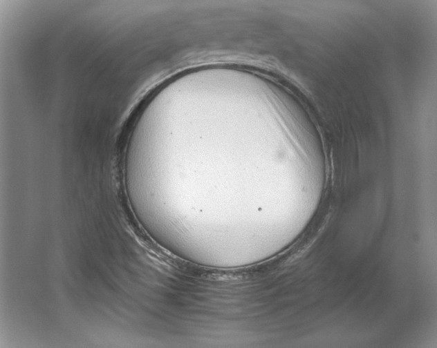 X0000064751501200603031720