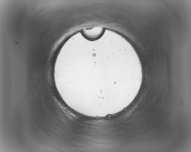 X0000064751502200603031720